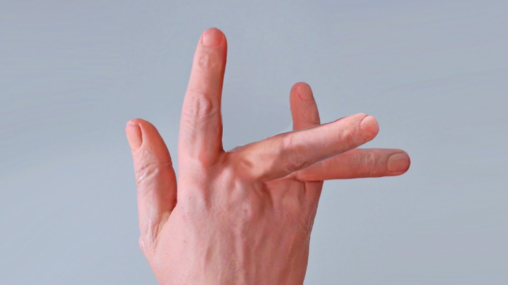 Fingers